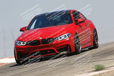 media/Jul-26-2025-Speed Ventures (Sat) [[fe569e6cf0]]/Red Group/Grapevine/